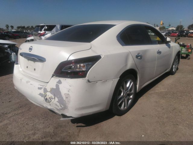 1N4AA5AP1EC456868 Nissan MAXIMA 3.5