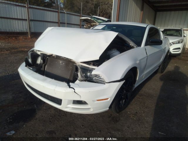 1ZVBP8AM8E5284747 Ford Mustang V6