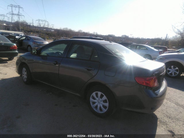 2010 TOYOTA COROLLA LE VIN: 2T1BU4EEXAC287718