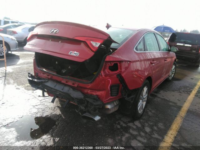5NPE24AF0HH513211 Hyundai SONATA SE