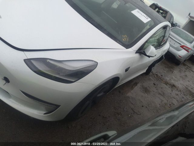 5YJ3E1EA3PF419607 Tesla MODEL 3