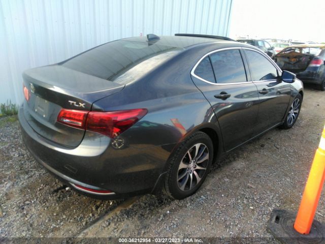 19UUB1F32FA015509 Acura TLX