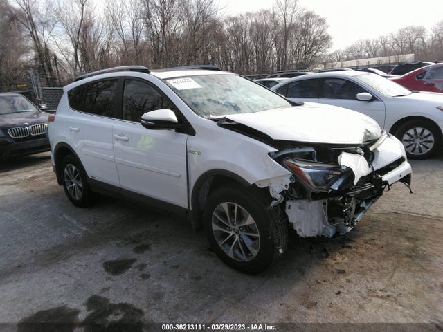 2017 Toyota RAV4, VIN: JTMRJREV5HD073463