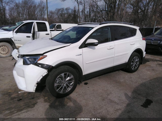 2017 Toyota RAV4, VIN: JTMRJREV5HD073463