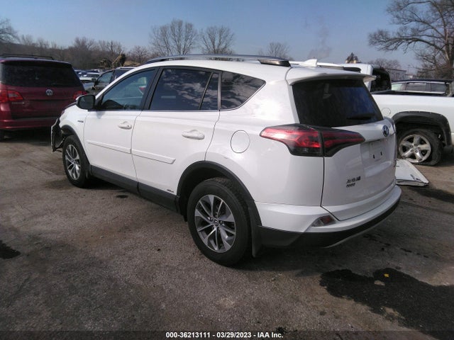 2017 Toyota RAV4, VIN: JTMRJREV5HD073463