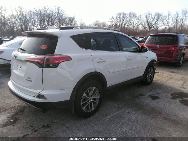 2017 Toyota RAV4, VIN: JTMRJREV5HD073463