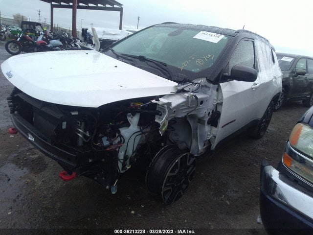3C4NJDDB3LT172021 Jeep Compass Trailhawk