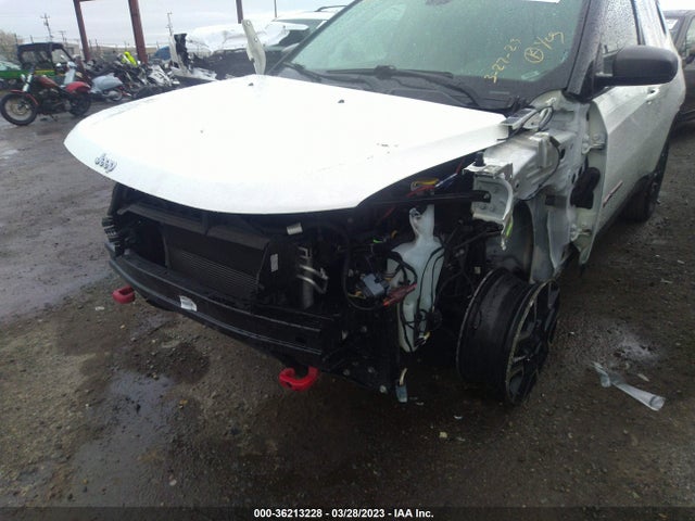 3C4NJDDB3LT172021 Jeep Compass Trailhawk