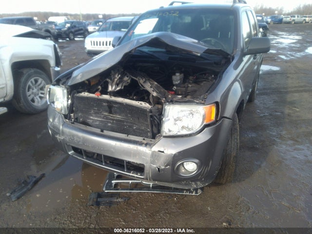 2010 FORD ESCAPE XLT VIN: 1FMCU0D73AKD39359