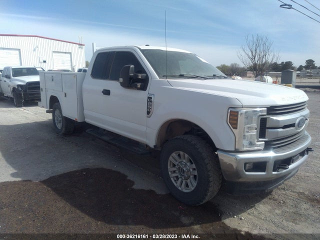 2019 1FT7X2B66KEF96244 main image