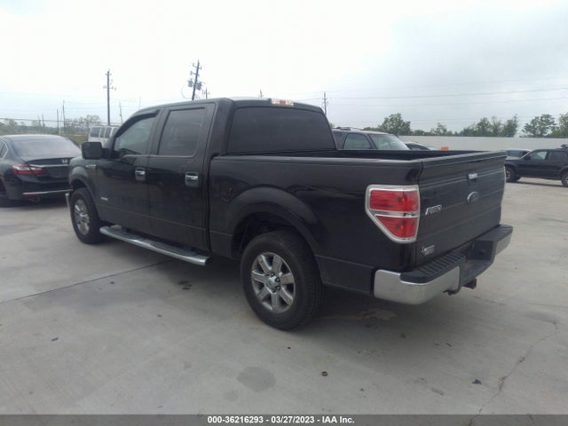 2013 FORD F-150 XL/XLT/FX2/LARIAT VIN: 1FTFW1CT0DFD80948