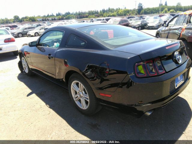 1ZVBP8AM6E5261693 Ford Mustang V6