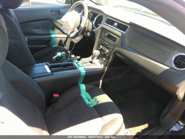 1ZVBP8AM6E5261693 Ford Mustang V6