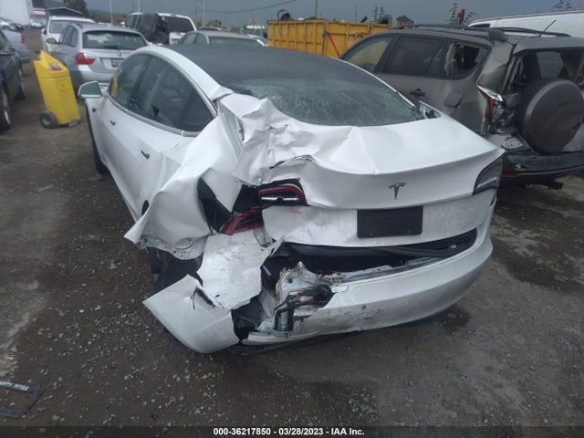 Tesla Model 3 Standard Range 2020 5YJ3E1EA8LF798548 Image 7