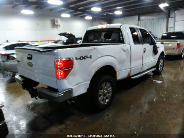 Ford F-150 Xl/xlt/lariat/fx4 2014 1FTFX1ET4EFB32746 Image 4