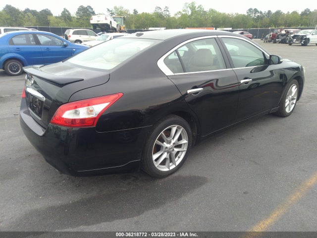 2010 NISSAN MAXIMA 3.5 SV VIN: 1N4AA5AP5AC810014