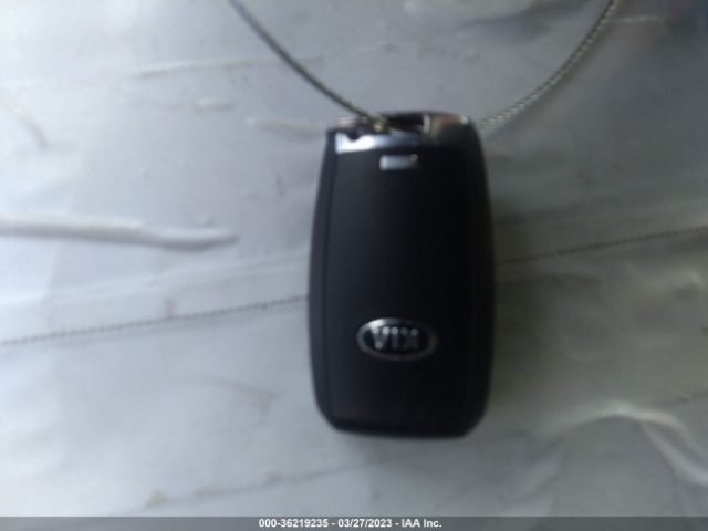 KNDMC5C13F6022817 KIA SEDONA EX