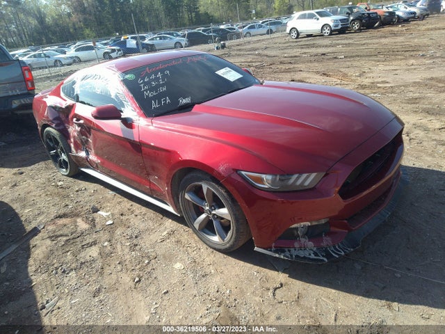 2015 Ford Fastback, VIN: 1FA6P8AM8F5387839
