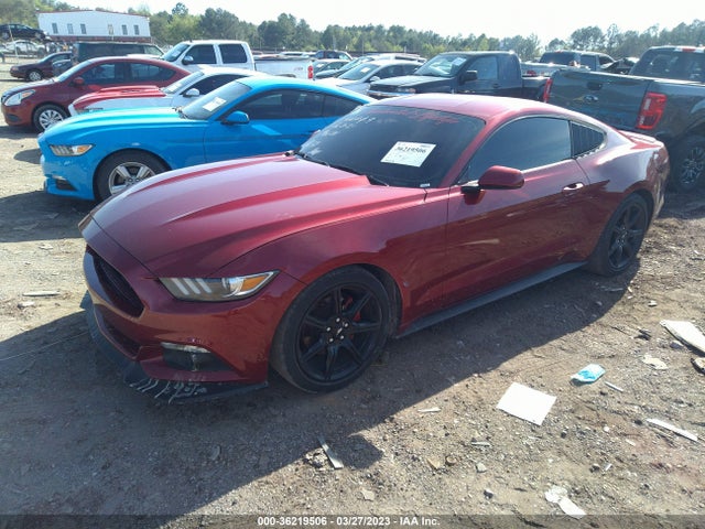 2015 Ford Fastback, VIN: 1FA6P8AM8F5387839
