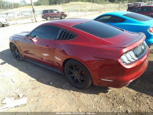 2015 Ford Fastback, VIN: 1FA6P8AM8F5387839