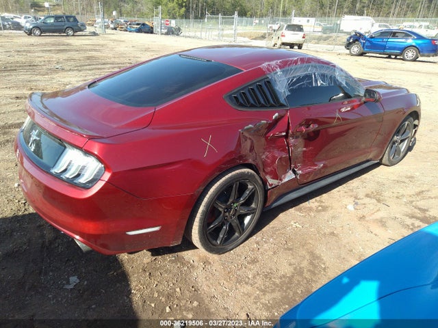 2015 Ford Fastback, VIN: 1FA6P8AM8F5387839