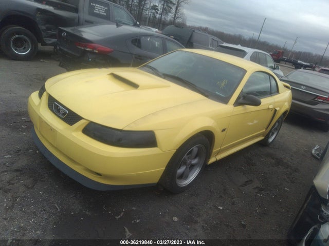 2003 FORD MUSTANG GT VIN: 1FAFP42X53F378023