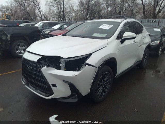Lexus Nx Nx 350h 2022 JTJAKCEZ7N5004934 Image 7