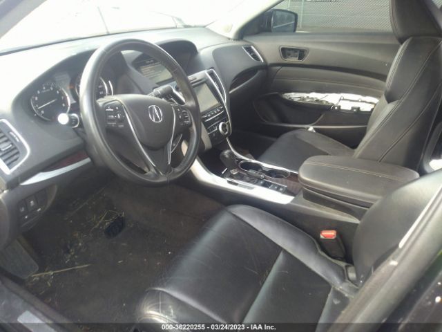 19UUB1F59FA018991 Acura TLX TECH