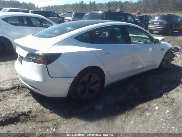 Tesla Model 3 Standard Range 2020 5YJ3E1EA6LF785085 Image 5