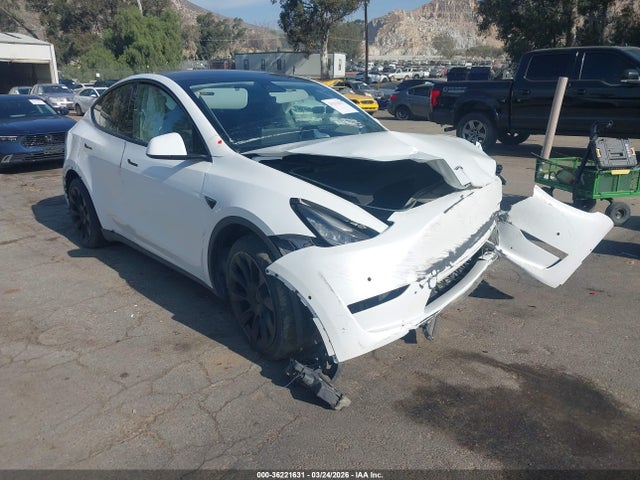 2020 TESLA MODEL Y 5YJYGDEE1LF033931 Photo 0