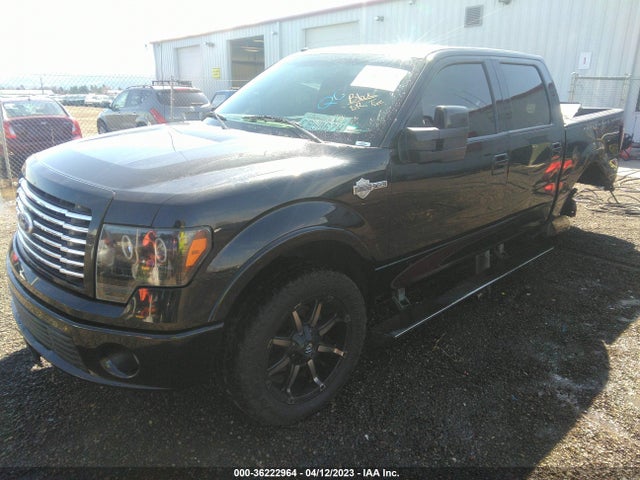 2010 FORD F-150 HARLEY-DAVIDSON VIN: 1FTFW1EV2AFA15990