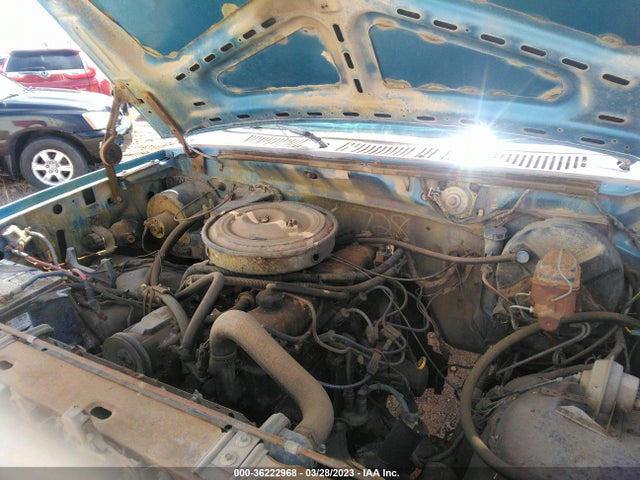 1984 FORD F150 VIN: 1FTDF15YXEPB54623