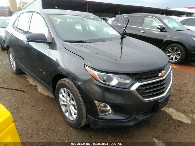Chevrolet EQUINOX LS 2019 3GNAXHEV3KS566126 Image 1