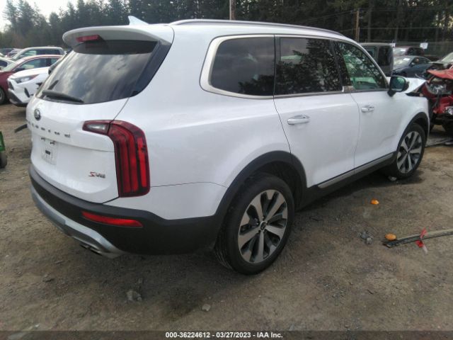5XYP6DHC1MG157197 KIA Telluride S