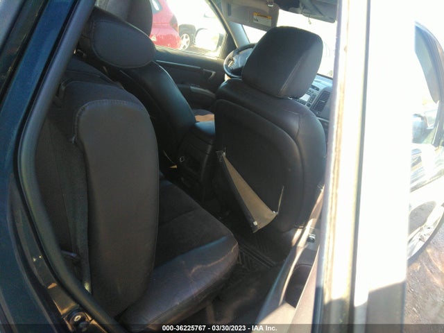 2010 HYUNDAI SANTA FE SE VIN: 5NMSHDAG8AH343063
