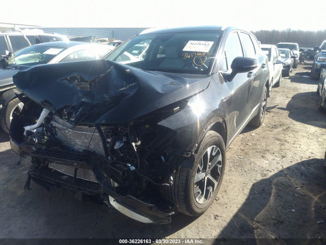 2023 KIA SPORTAGE EX VIN: 5XYK3CAF6PG033111