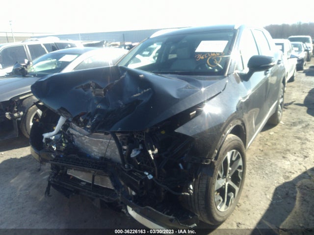 2023 KIA SPORTAGE EX VIN: 5XYK3CAF6PG033111