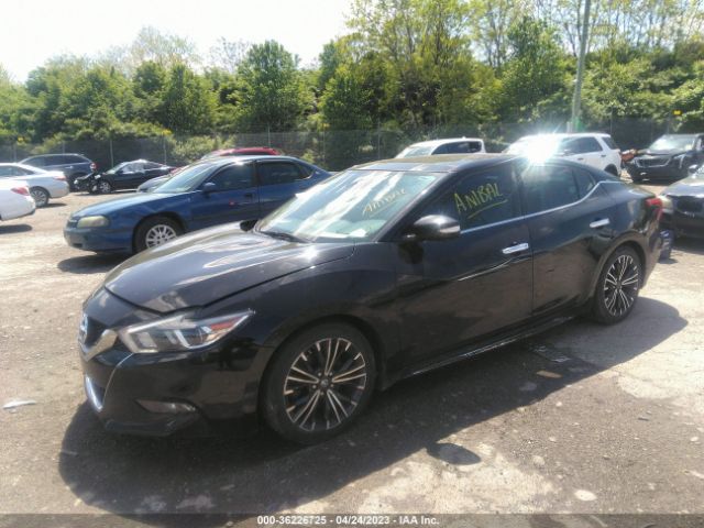 1N4AA6AP6HC373527 Nissan Maxima Sv/s/sl/sr/platinum