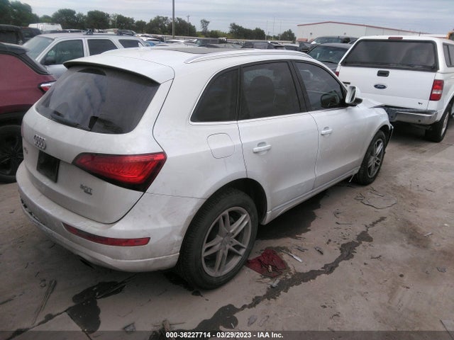 Audi Q5 Premium Plus 2014 WA1LFAFP6EA092507 Image 4