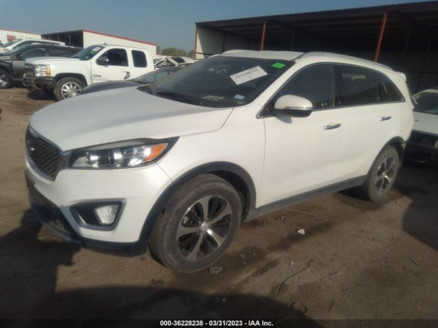 5XYPH4A59GG183699 KIA SORENTO EX