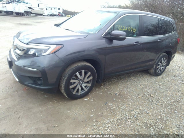 2019 HONDA PILOT EX-L VIN: 5FNYF6H59KB045687