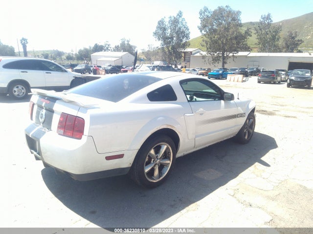 2009 FORD MUSTANG GT VIN: 1ZVHT82HX95139562