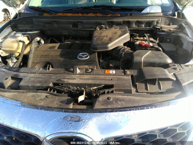 2010 MAZDA CX-9 GRAND TOURING VIN: JM3TB2MA4A0219669
