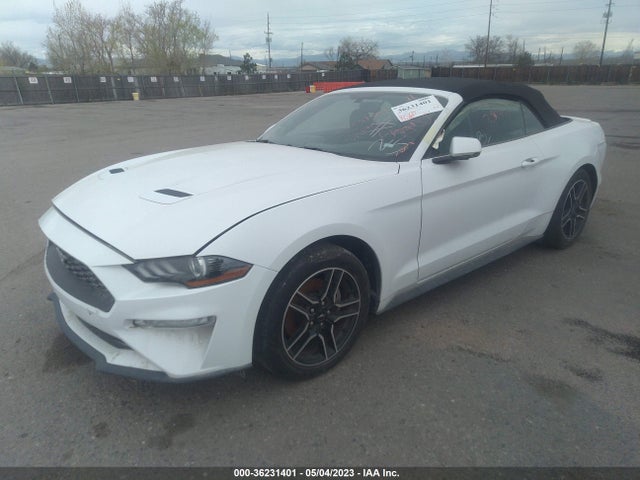 Ford Mustang Ecoboost 2020 1FATP8UH5L5125533 Image 2