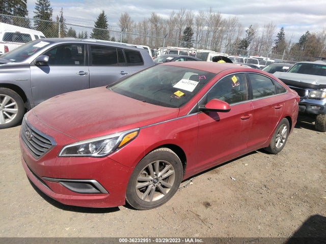 Hyundai Sonata 2.4l 2017 5NPE24AF0HH454533 Image 2