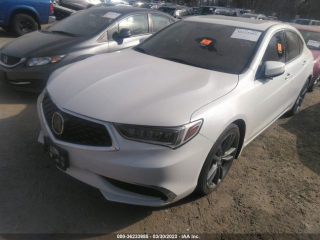 19UUB1F30KA005345 Acura TLX