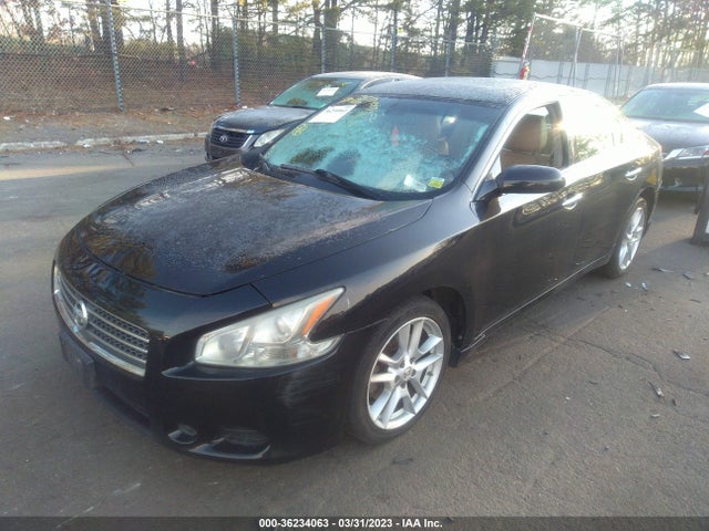 2010 NISSAN MAXIMA 3.5 S VIN: 1N4AA5AP7AC801704