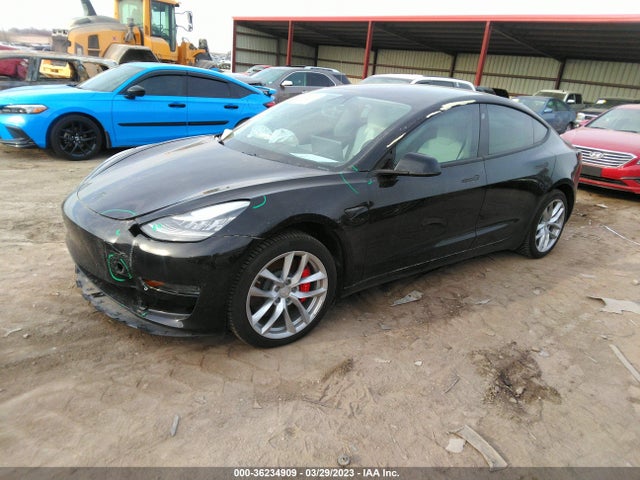 Tesla Model 3 Long Range/performance 2019 5YJ3E1EB8KF393281 Image 2