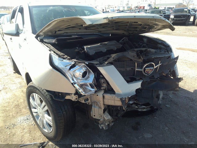 2010 CADILLAC SRX LUXURY COLLECTION VIN: 3GYFNAEY8AS586905