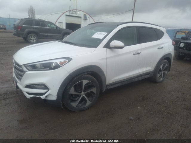 Hyundai Tucson Limited 2016 KM8J3CA27GU185708 Image 2
